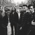 Avatar for Marmozets