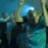 Avatar de Bezloginowy