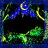Avatar for Ekkelüs