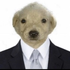 Avatar for Jubear04