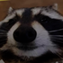 Avatar for ezis_kezis