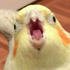Avatar for Memeotoita