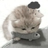 Avatar de hafidz_here