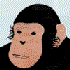 Avatar di B_Rogs