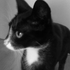 Avatar for czaaaajnik