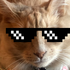 Avatar for FineMiner