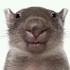 Avatar for CharoLaMejor