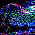 Avatar for brainv0id