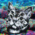 Avatar for Skunkpappa