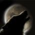 Avatar for TheMadHatter123