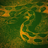 Avatar for RhiannonsBirds