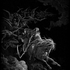 Avatar for martello17