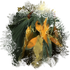 Avatar for courtne-y