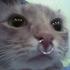 Avatar for artemis_clyde
