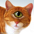 Avatar for cicero5454