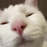 Avatar for Weedy-
