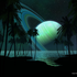 Avatar for Cold_Dish