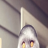 Avatar für HagerPhonics