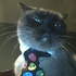 Avatar for bigguy_