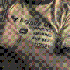 Avatar di bjunior71