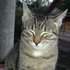 Avatar for airat782007