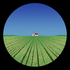 Avatar for tyomie