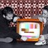 Avatar for GloryBox & Lowtronik