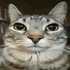 Avatar for Nerpyy