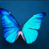 Avatar for Ryan647