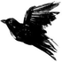 Avatar for Schicki88