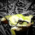 Avatar for moelectronica