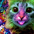 Avatar for Knz_