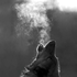 Avatar for CatoInvictus