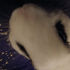 Avatar for kamiisgarb