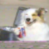 Avatar for Loafous