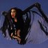Avatar for Kate Bush