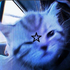 Avatar di Emodoggirl