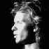 Avatar for GringoBowie