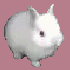 Avatar for cfgthg