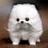 Avatar for sanibanaii