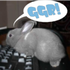 Avatar for ggr
