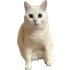 Avatar for Gehrman2