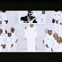 Avatar for Thesparkattack