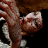 Avatar for rokirokiro