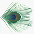 Avatar di ultimatetwang