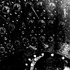 Avatar for Breached Hull