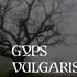 Avatar for Gyps Vulgaris