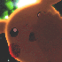 deviria için avatar
