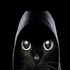 Avatar for Highmonkey-