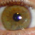 Avatar for vlad1984